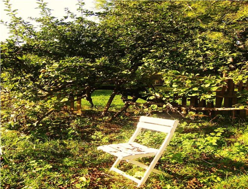 Le Moulin Fleuri Du Petit Appeville Εξωτερικό φωτογραφία