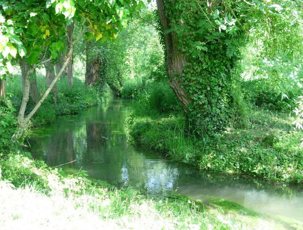 Le Moulin Fleuri Du Petit Appeville Εξωτερικό φωτογραφία