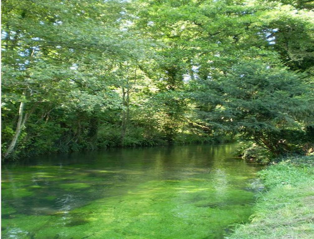 Le Moulin Fleuri Du Petit Appeville Εξωτερικό φωτογραφία