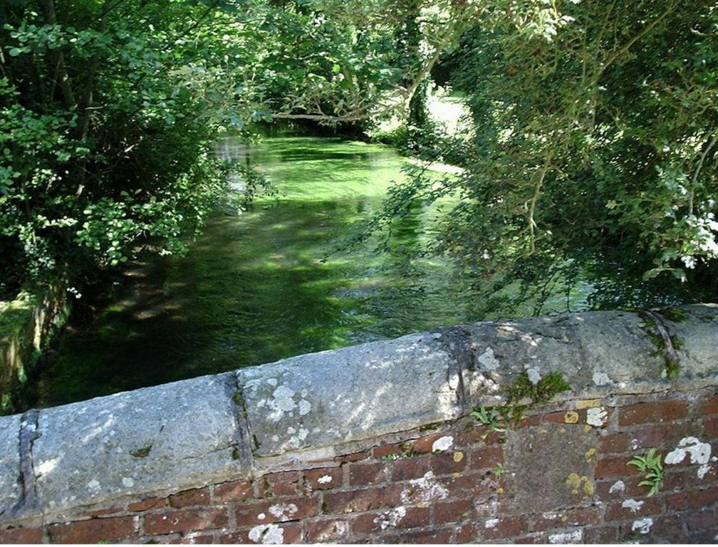 Le Moulin Fleuri Du Petit Appeville Εξωτερικό φωτογραφία